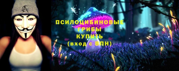 прущая мука Белокуриха