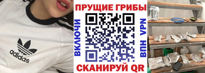 где купить   Ясногорск  Галлюциногенные грибы ЛСД 